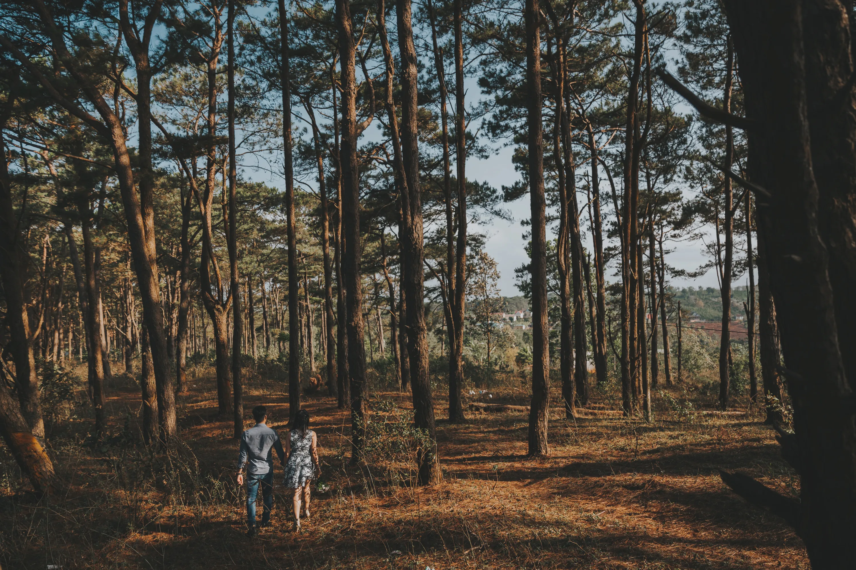 Chemin en forêt